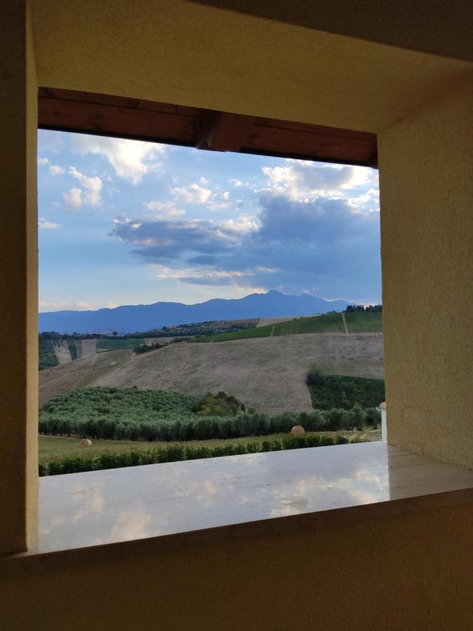 Agriturismo Terra Dei Falchi Castilenti Luaran gambar