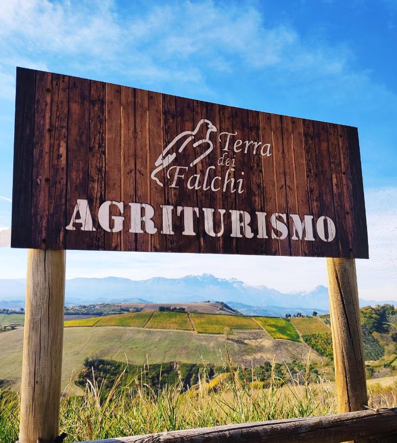 Agriturismo Terra Dei Falchi Castilenti Luaran gambar