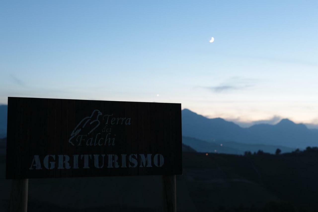 Agriturismo Terra Dei Falchi Castilenti Luaran gambar